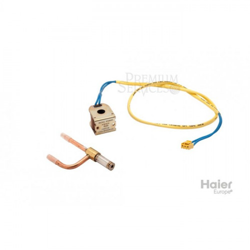 Соленоидный клапан в сборе Haier 0010758953